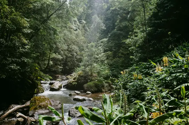Beleef de natuur